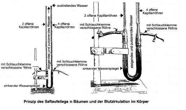 u-tube-experiment-3