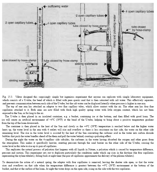 u-tube-experiment